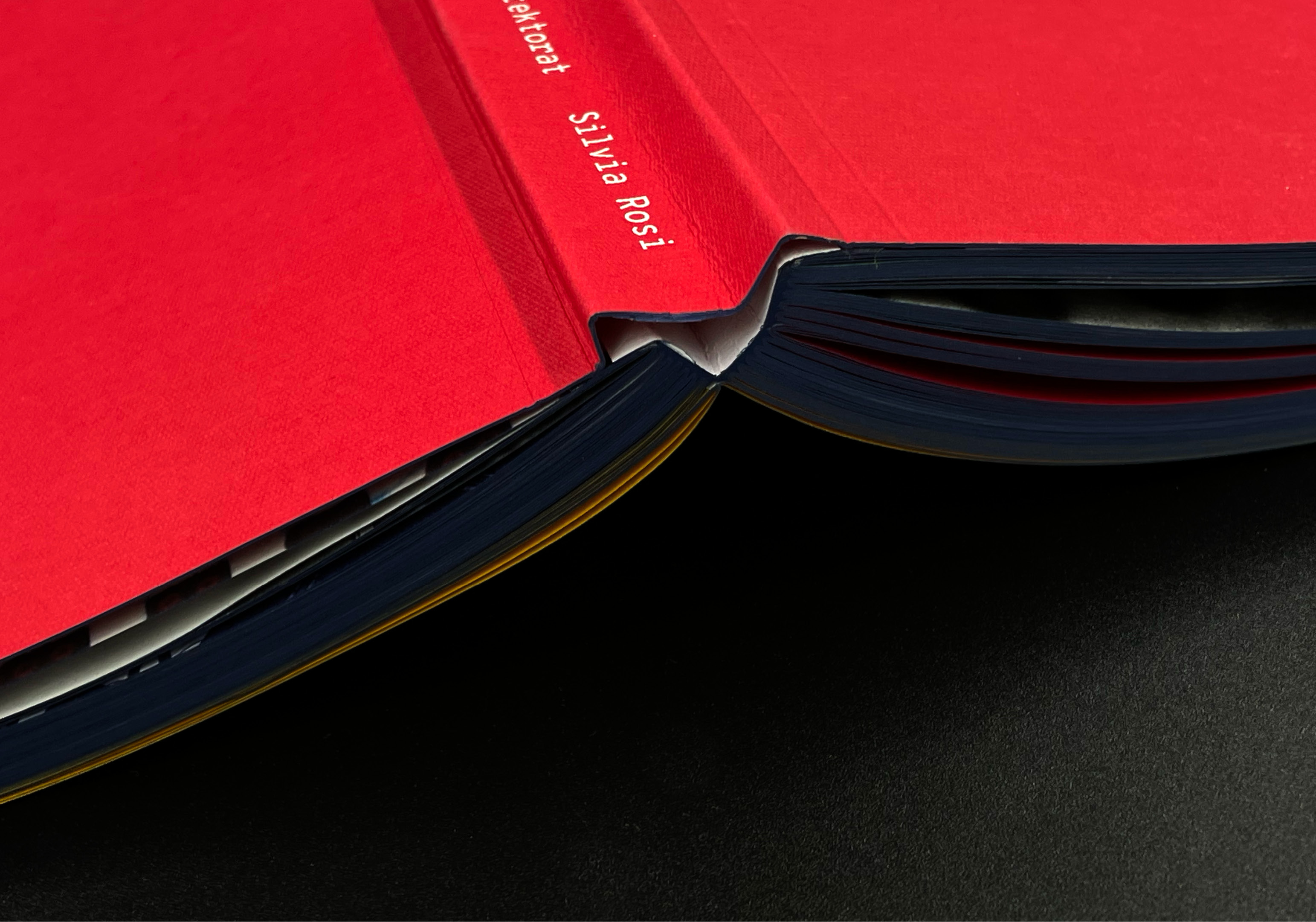 NAROSKA Projektbilder