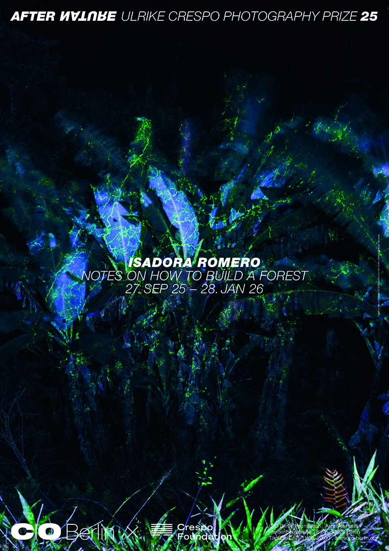 NAROSKA CO Berlin Plakate